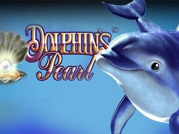 Dolphins Pearl