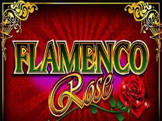 Flamenco Rose